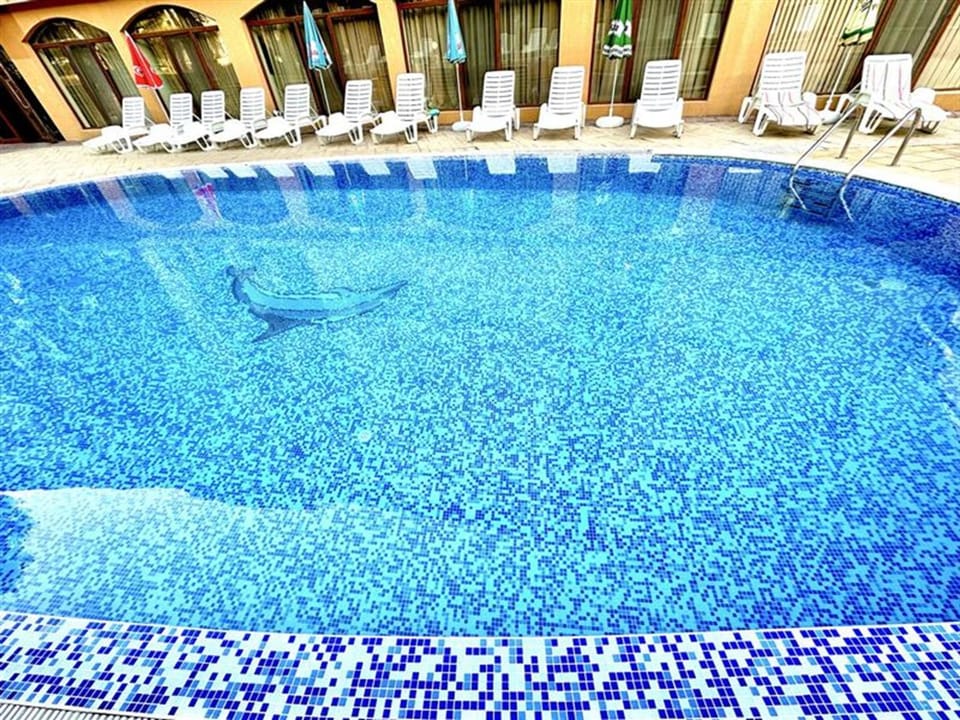 Swimming pool, sunbed