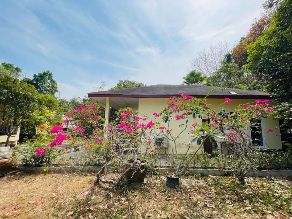 Property building, Garden, Garden view