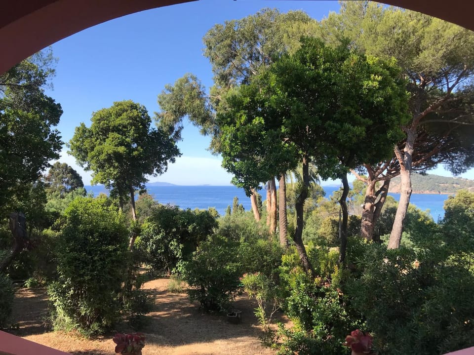 View (from property/room)