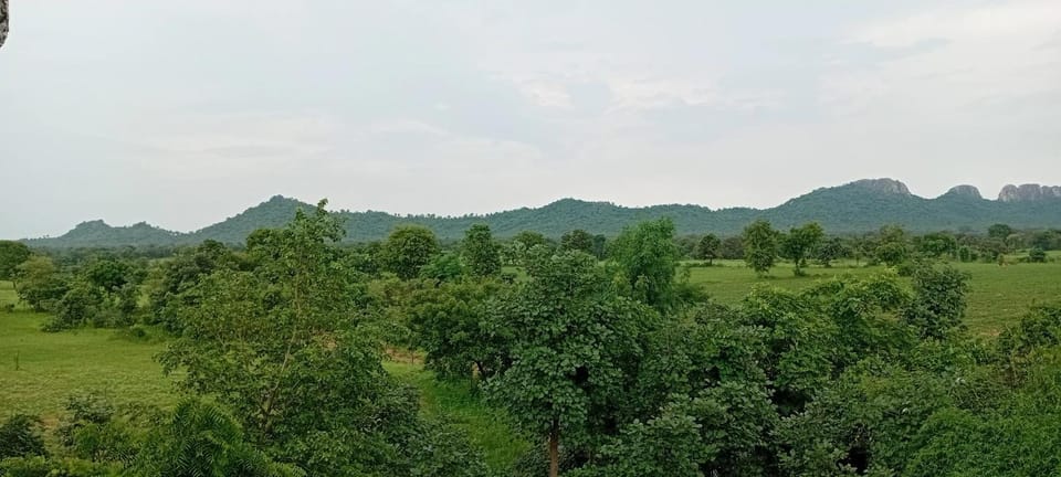 Natural landscape