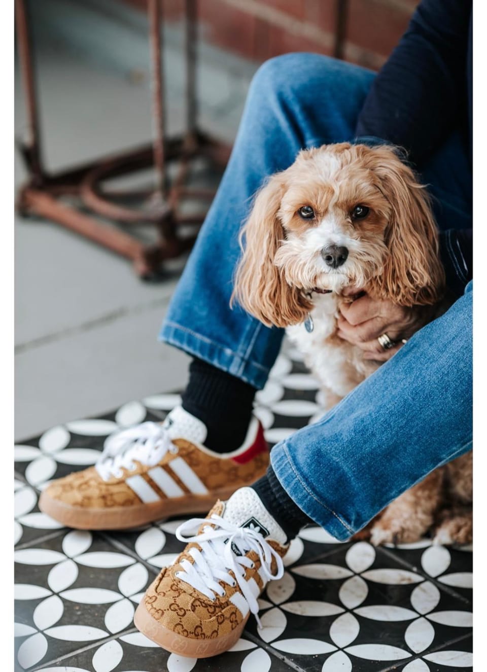 Pets