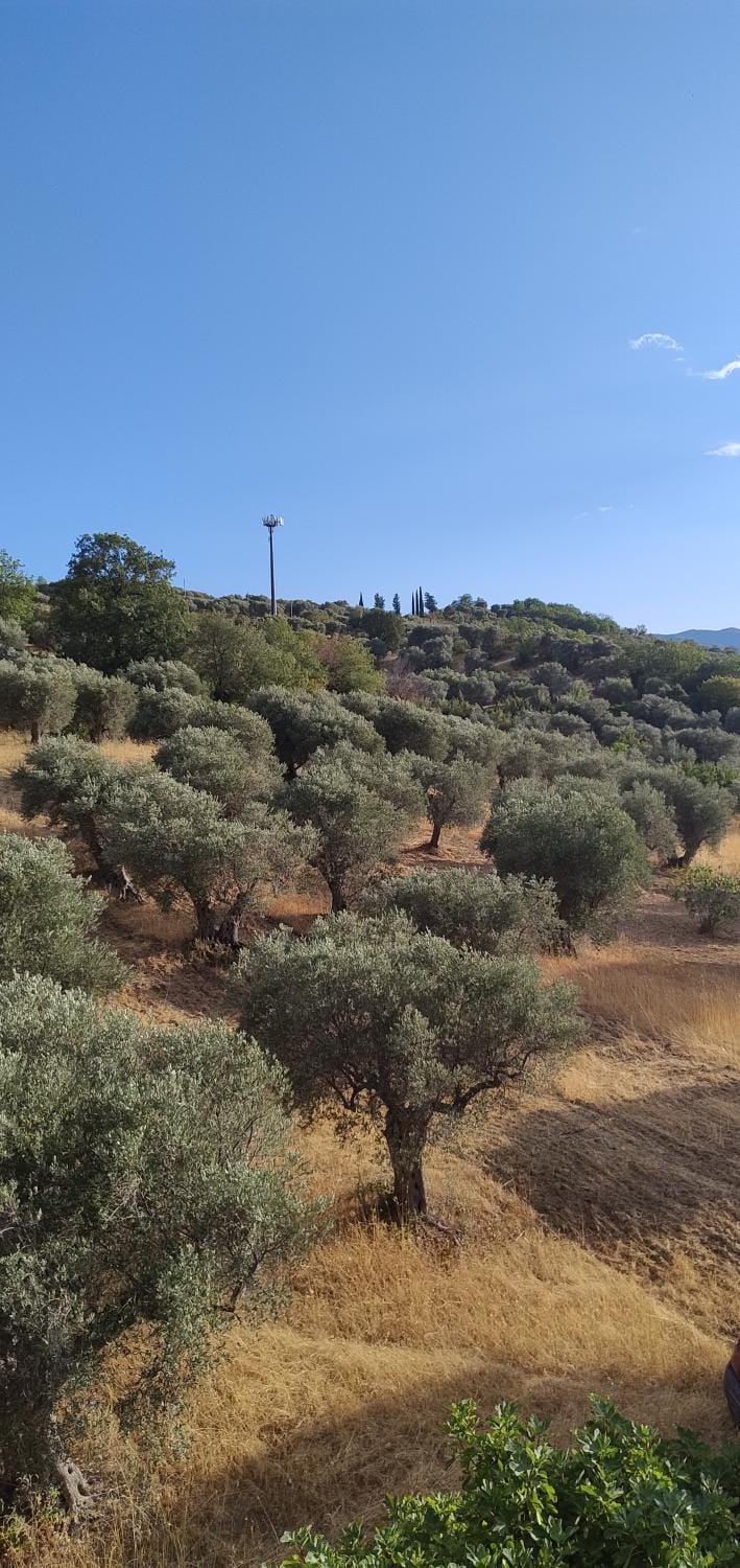 Casa Rocco Bed and Breakfast in Basilicata