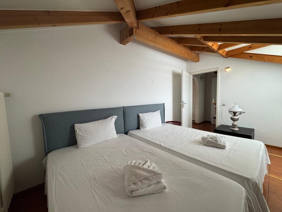 Special apartment in Ascona Apartment in Ascona