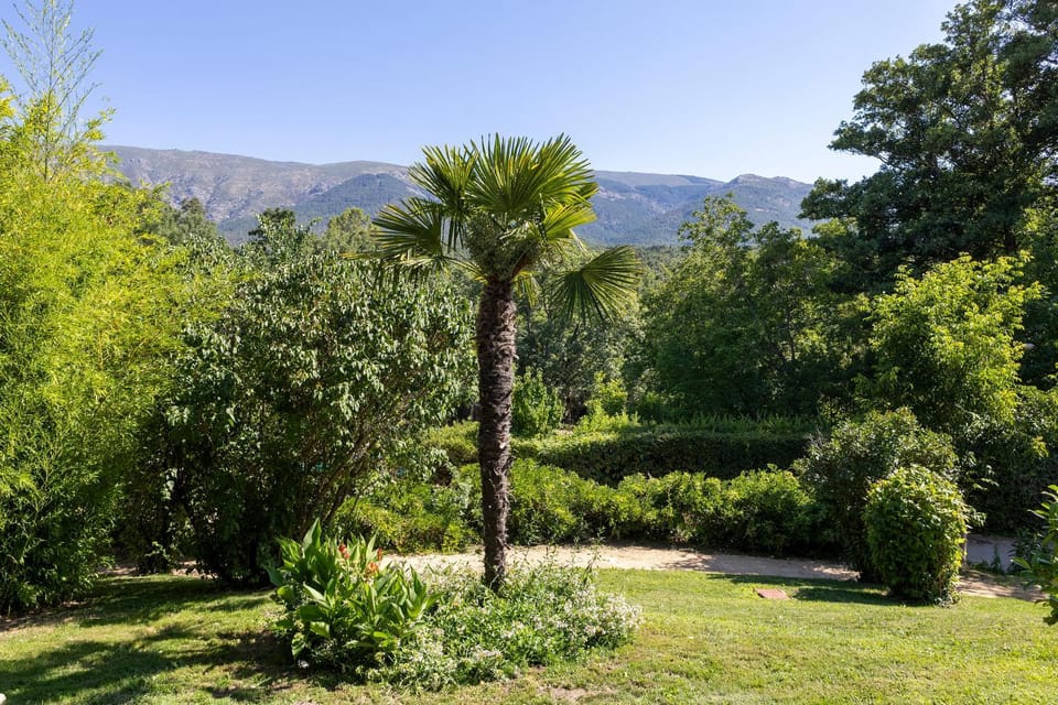 Natural landscape
