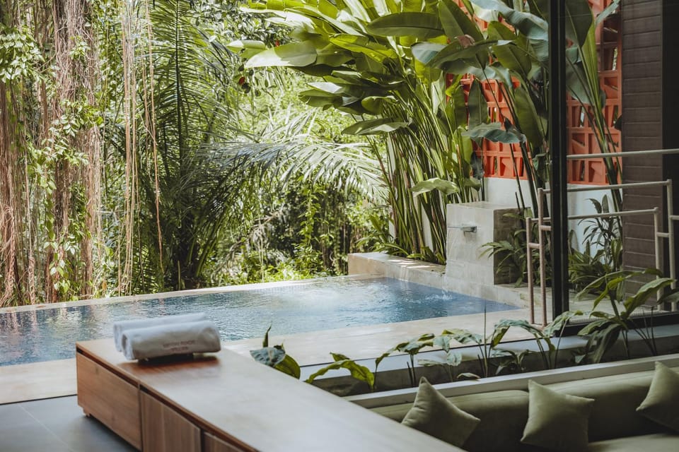 Day, Natural landscape, Garden, Pool view, Swimming pool