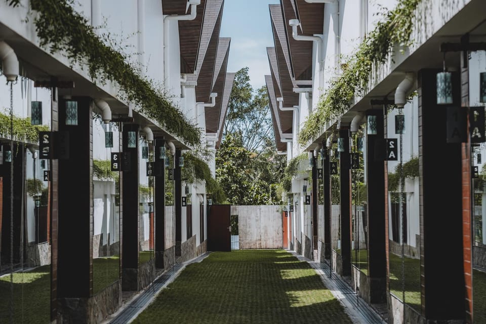 Property building, Day