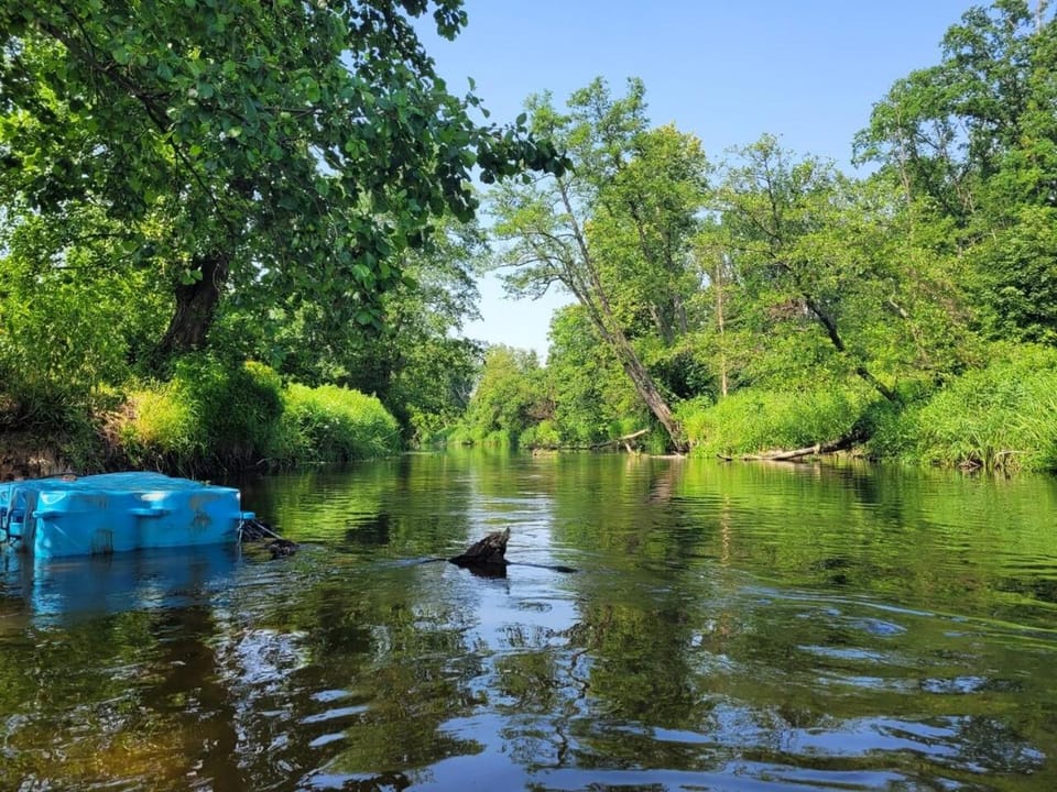 Activities, Canoeing, River view