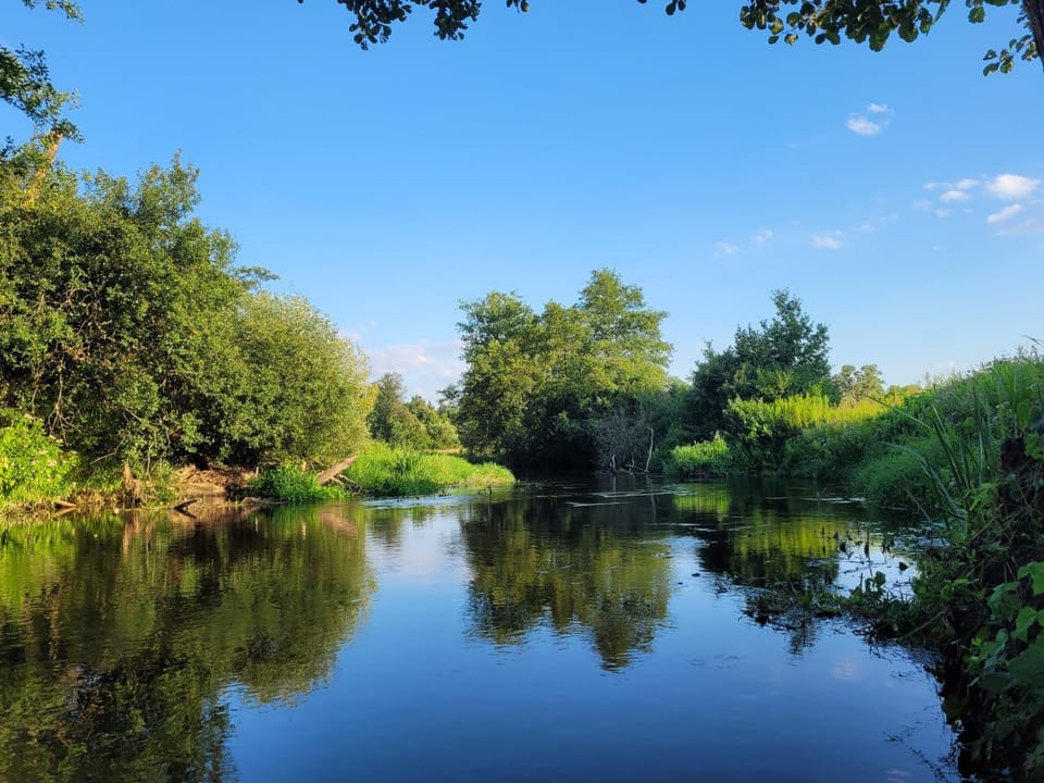 Natural landscape, River view