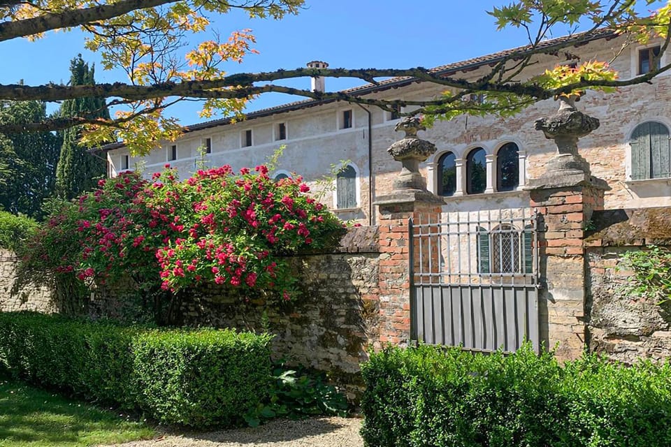 Property building, Garden view