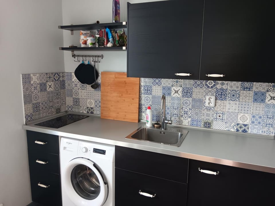 Cosy appartment close to main train station and city center Apartment in Prague