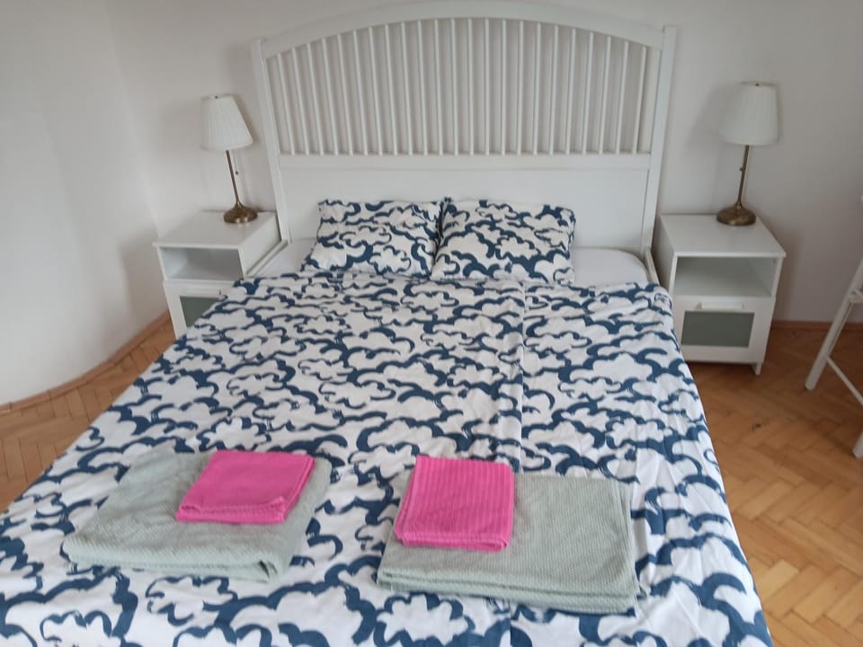 Cosy appartment close to main train station and city center Apartment in Prague