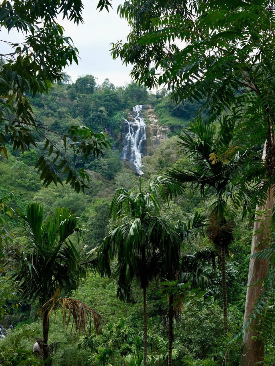 Nearby landmark
