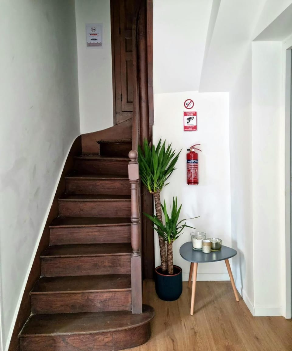 Studio Vienne - Spacieux et confortable en plein centre Apartment in Nouvelle-Aquitaine
