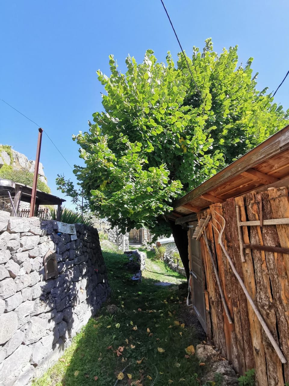 Spring, Day, Garden, Garden view