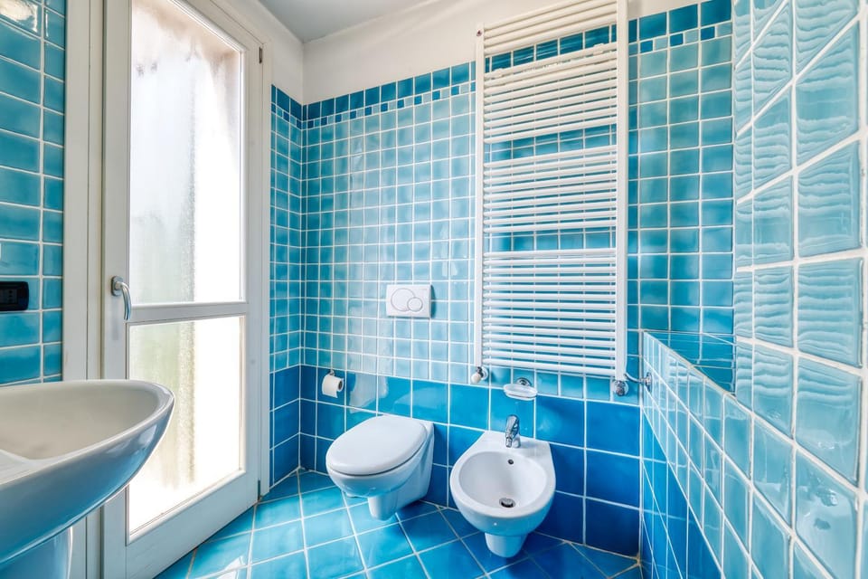 Shower, Toilet, Bathroom, bidet