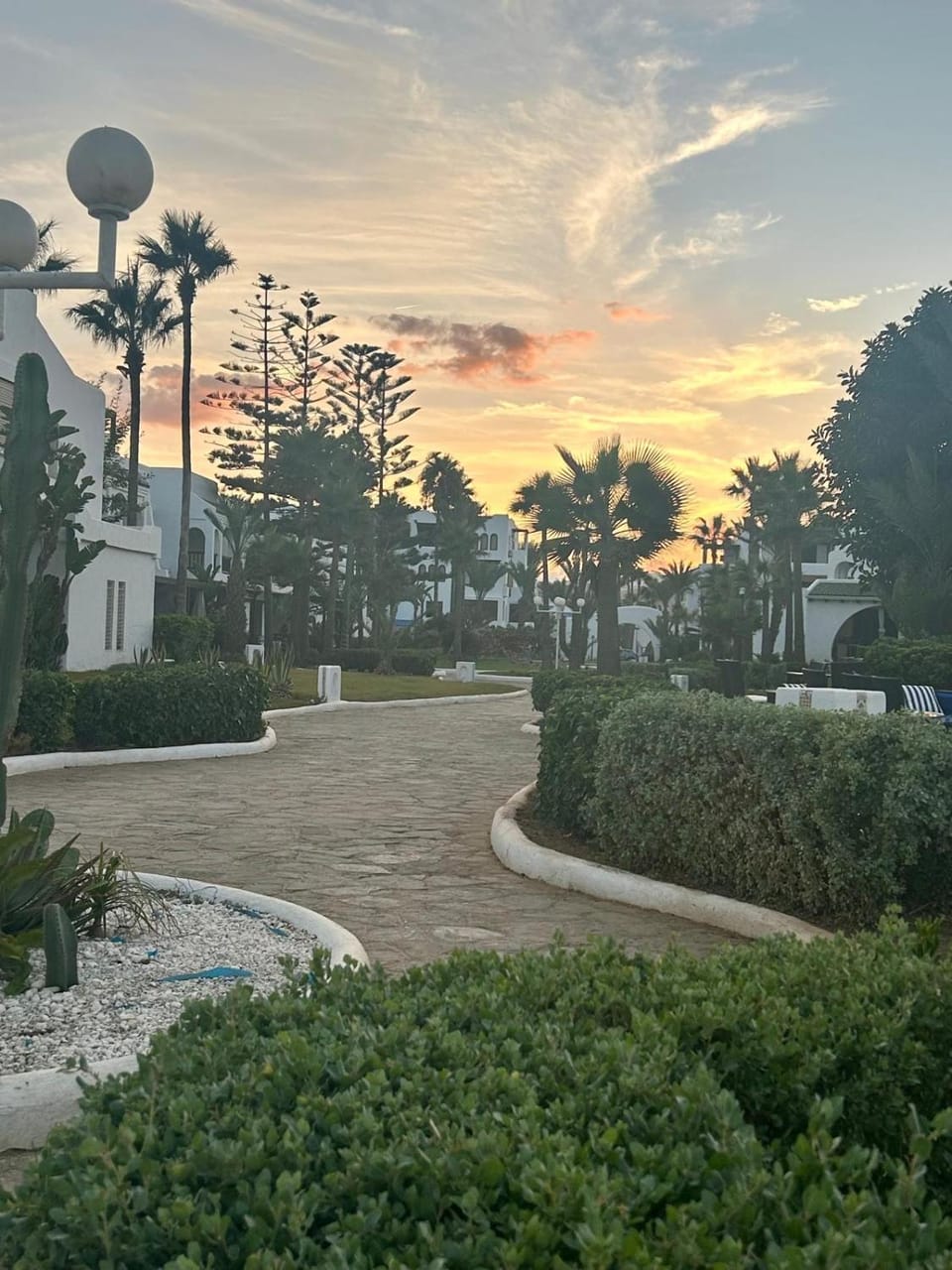 Natural landscape, Garden, Garden view, Sunrise