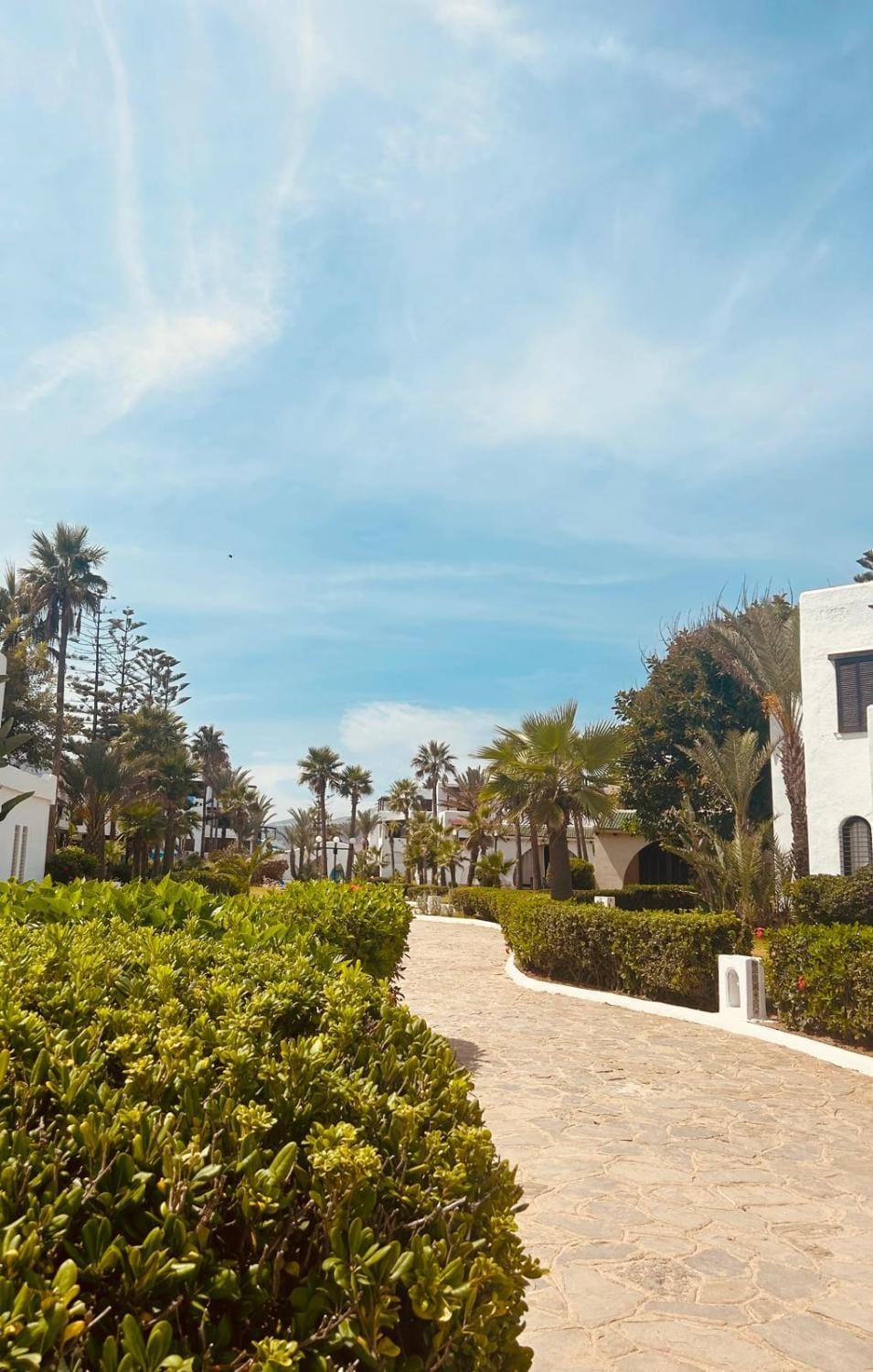 Natural landscape, Garden, Garden view