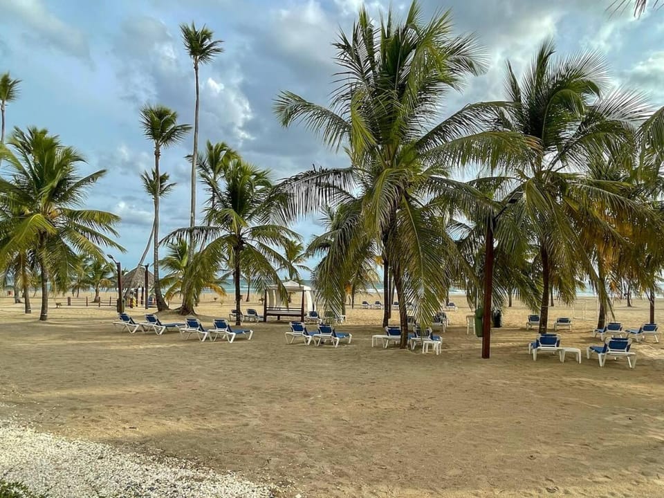 Spring, Day, Natural landscape, Beach, Sea view, sunbed