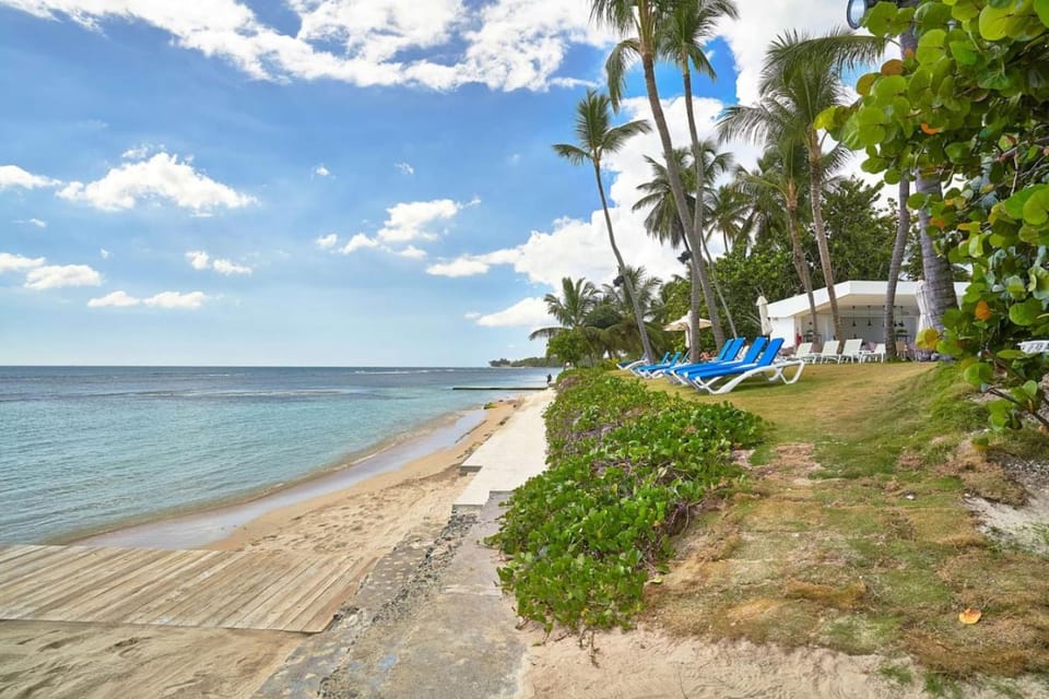 Nearby landmark, Spring, Day, Natural landscape, Beach, Sea view, sunbed