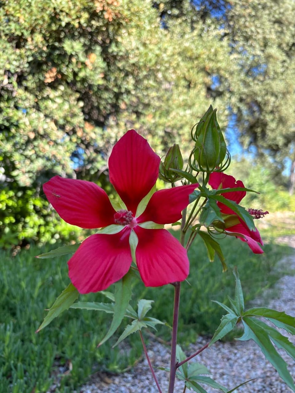 Chambre de charme au sabluline Bed and Breakfast in French Riviera