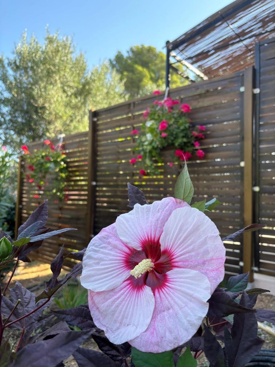 Chambre de charme au sabluline Bed and Breakfast in French Riviera