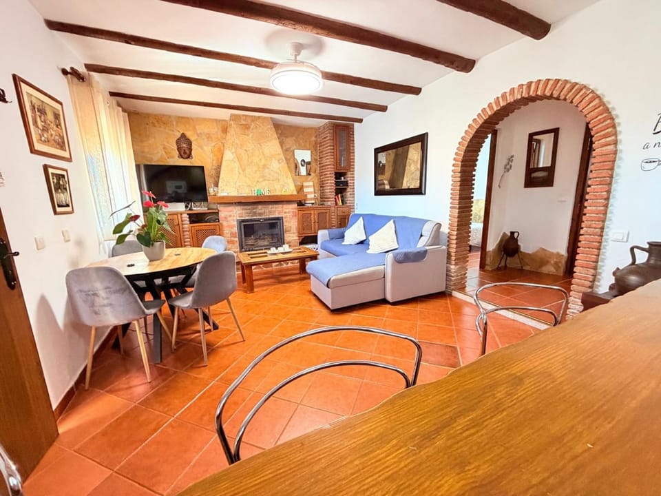 TV and multimedia, Kitchen or kitchenette, Living room, Seating area, Dining area, fireplace