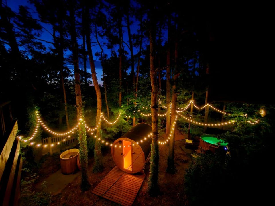 Night, Garden view