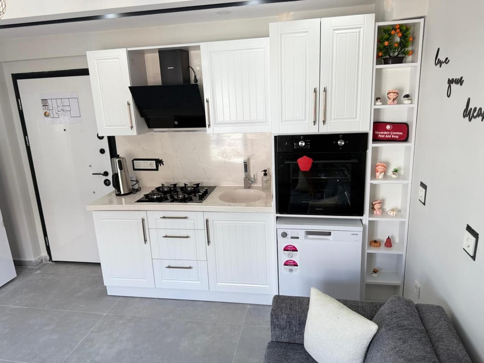 Kitchen or kitchenette, dishwasher, oven, stove