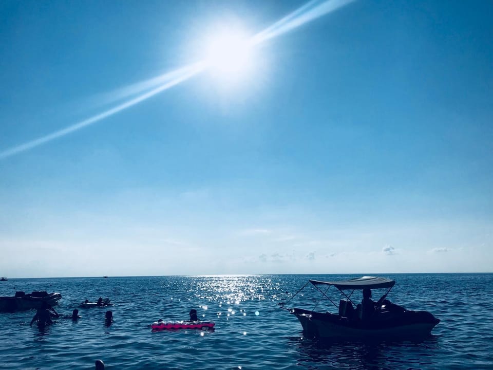 Day, Summer, On site
