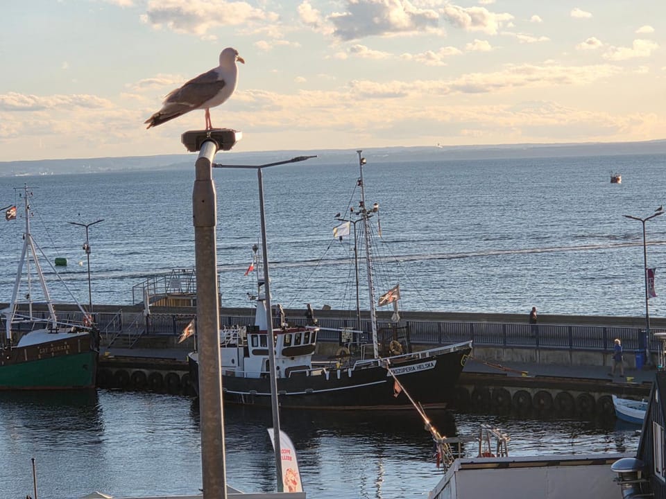 Apartament Portowy Mewy Dwie Apartment in Pomeranian Voivodeship