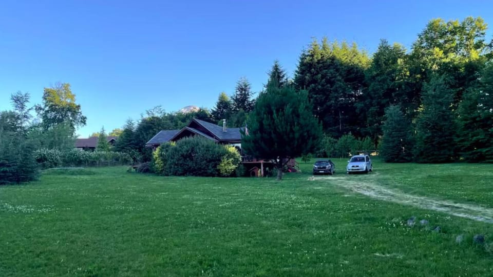 Property building, Garden view