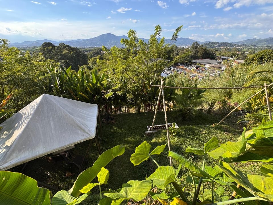 Spring, Day, Natural landscape, Garden, Garden view, Mountain view
