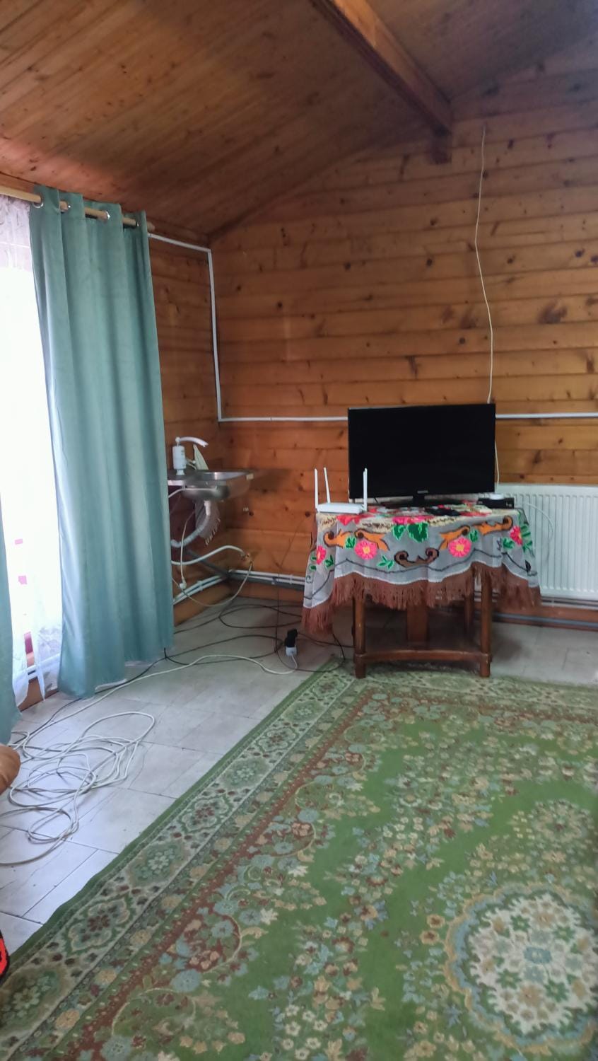 Casa Leo House in Romania