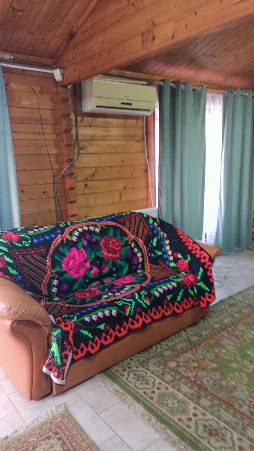 Casa Leo House in Romania