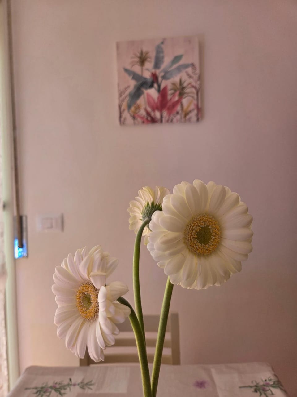 Casa Nanà Beach Apartment in Emilia-Romagna