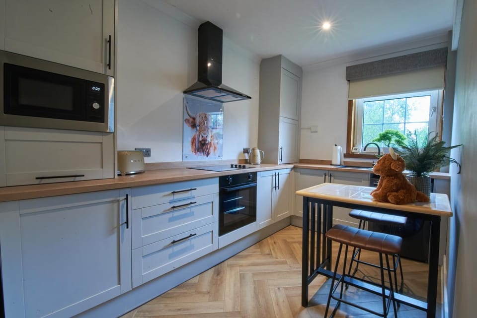 Kitchen or kitchenette, Dining area, oven, stove