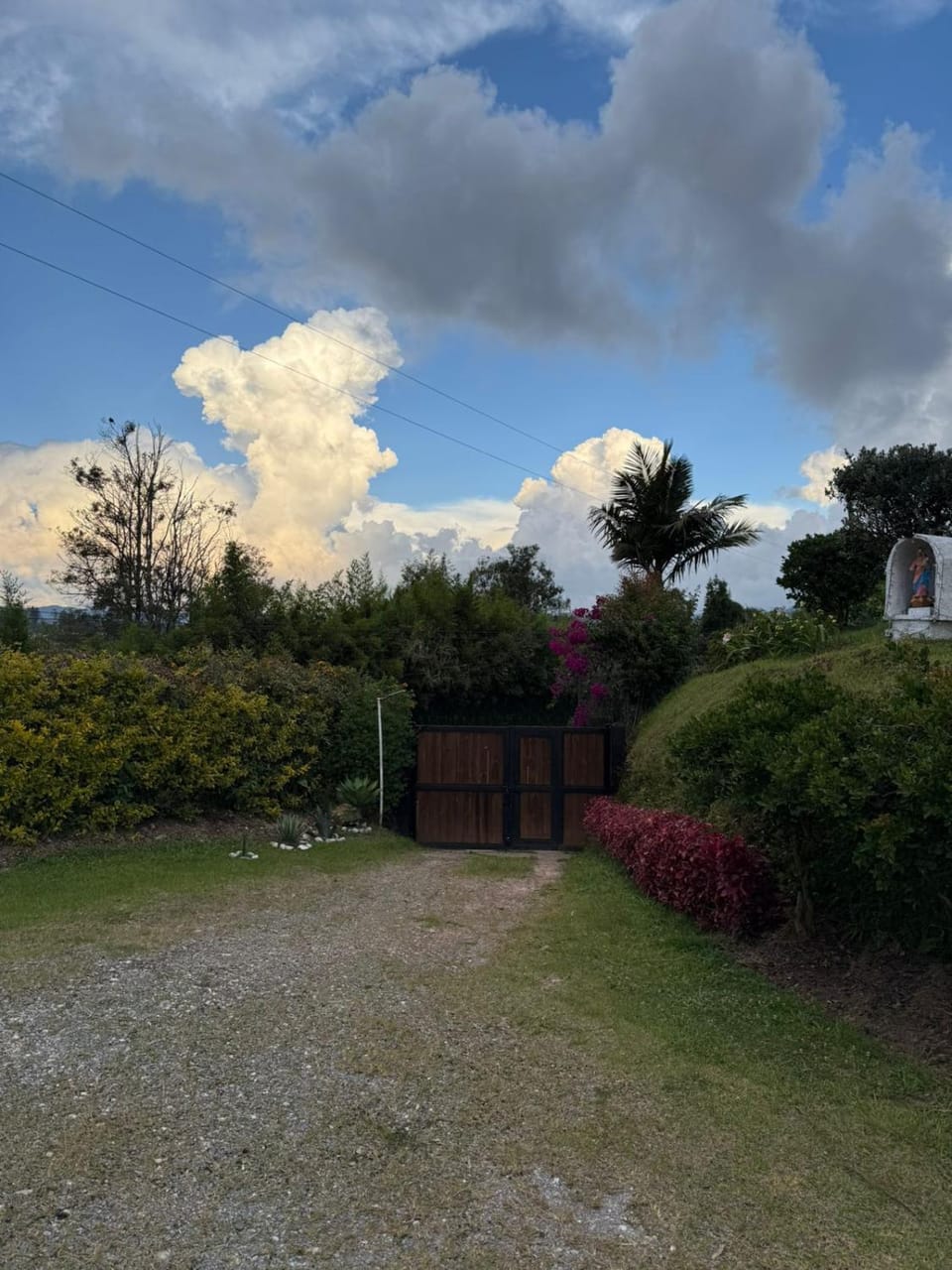 Spring, Natural landscape, Garden, Garden view