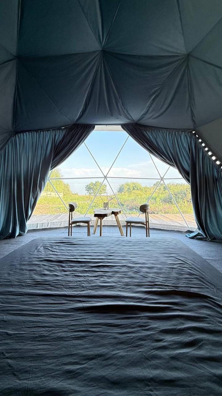 Bed, Natural landscape, Photo of the whole room, Seating area, Bedroom