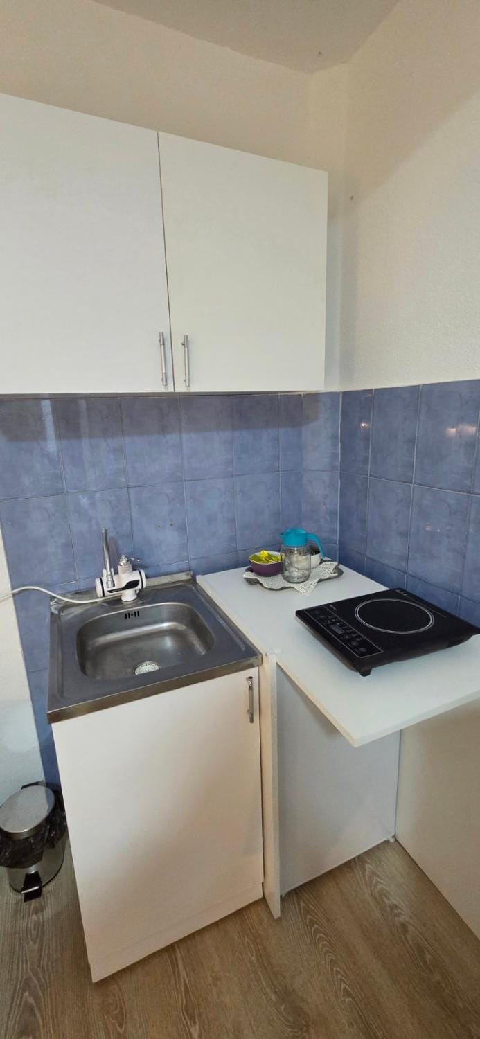 Studio Trajkovic Apartment in Serbia