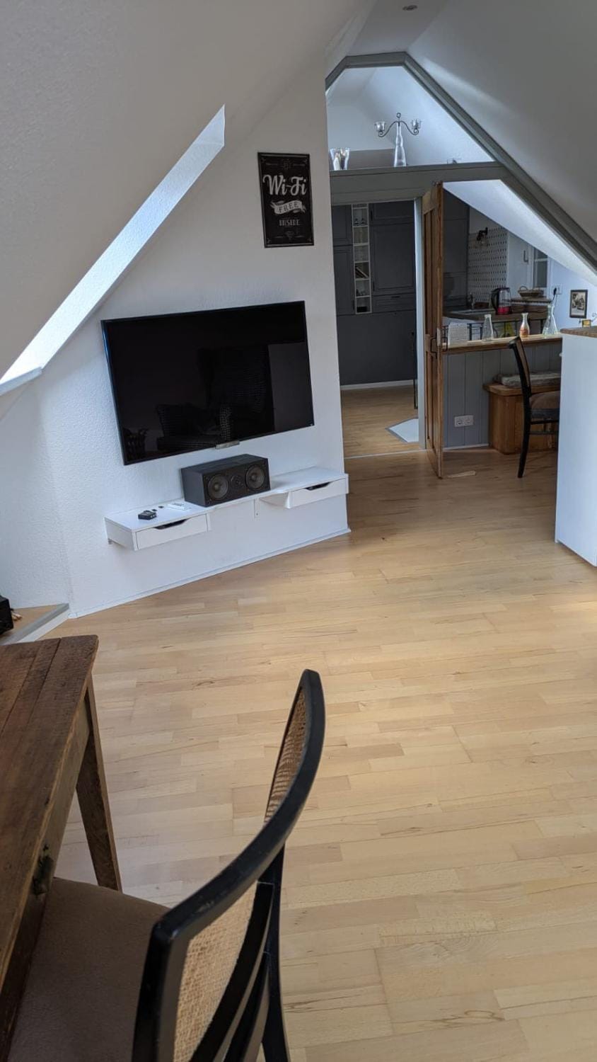 Mauseburg Apartment in Lower Saxony, Germany
