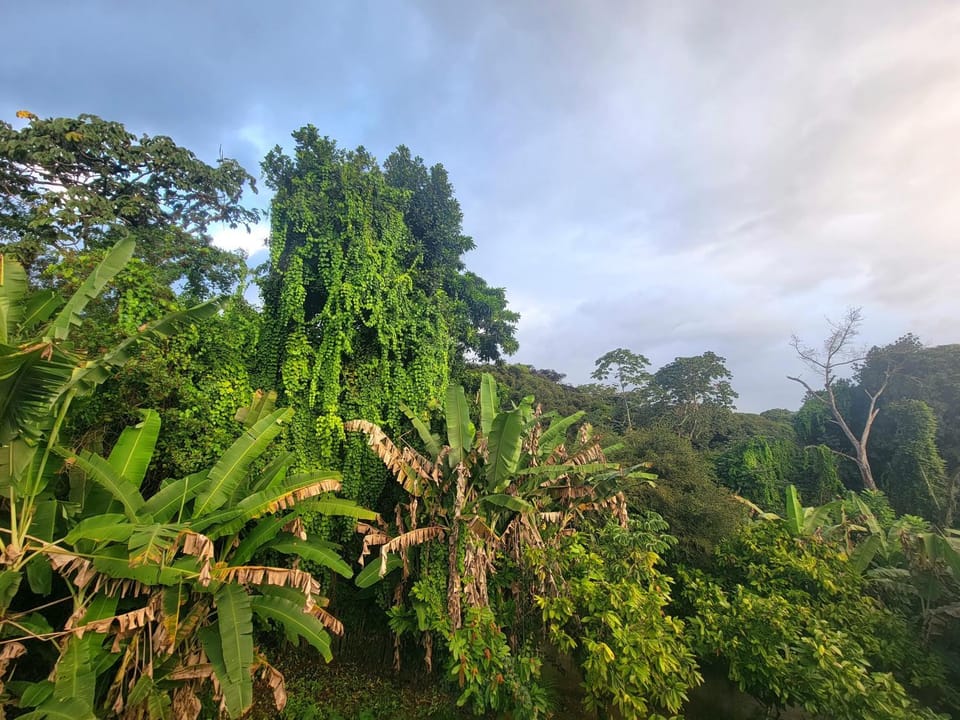 Quarto Casal na Praça Serra Grande House in State of Bahia