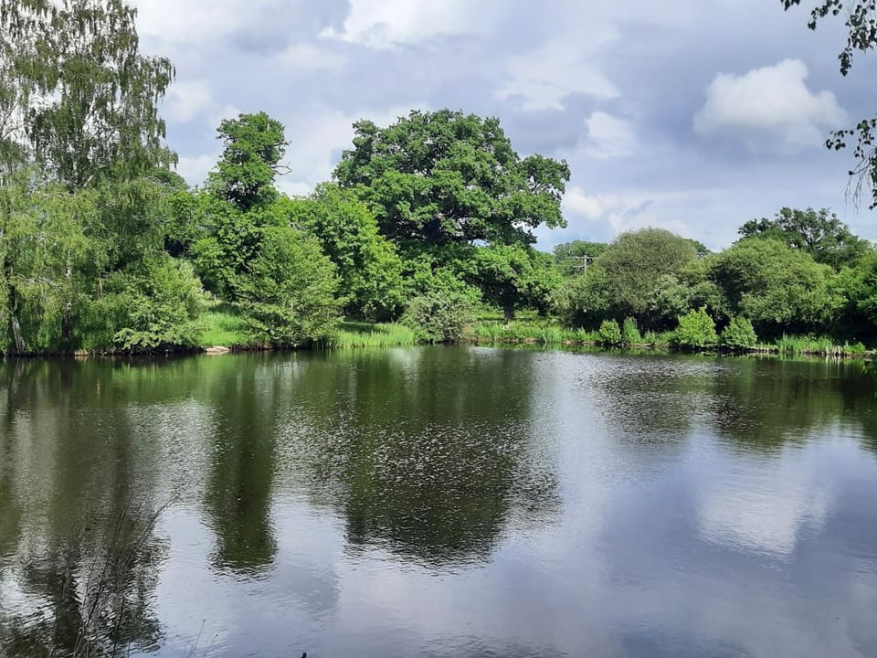 Natural landscape