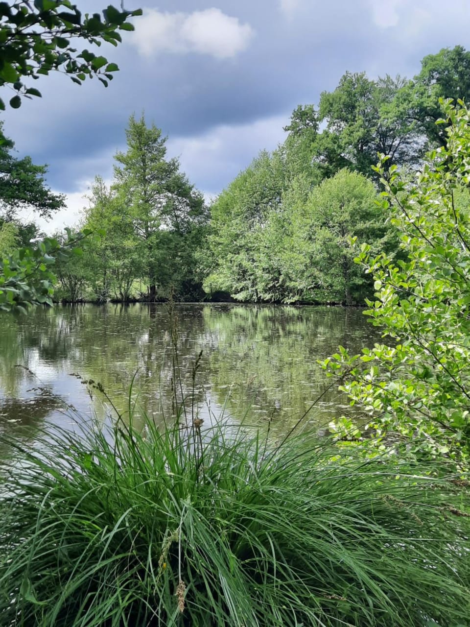 Natural landscape