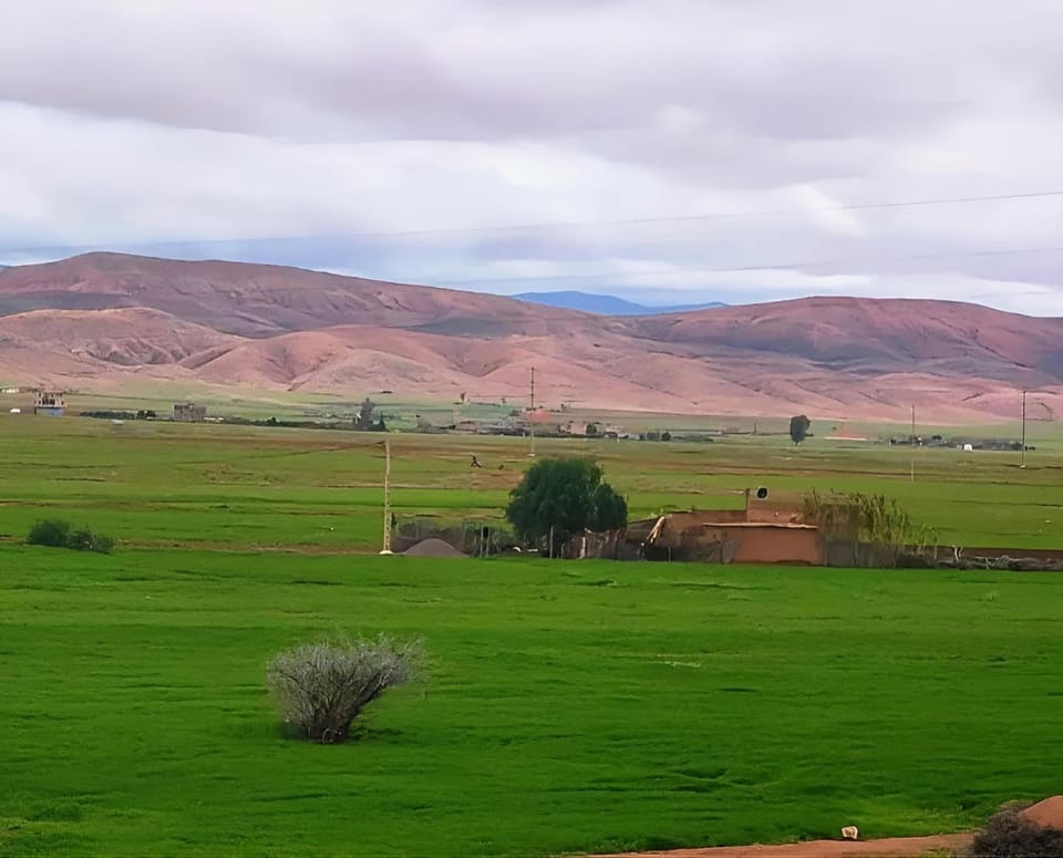Day, Natural landscape, Garden, Mountain view