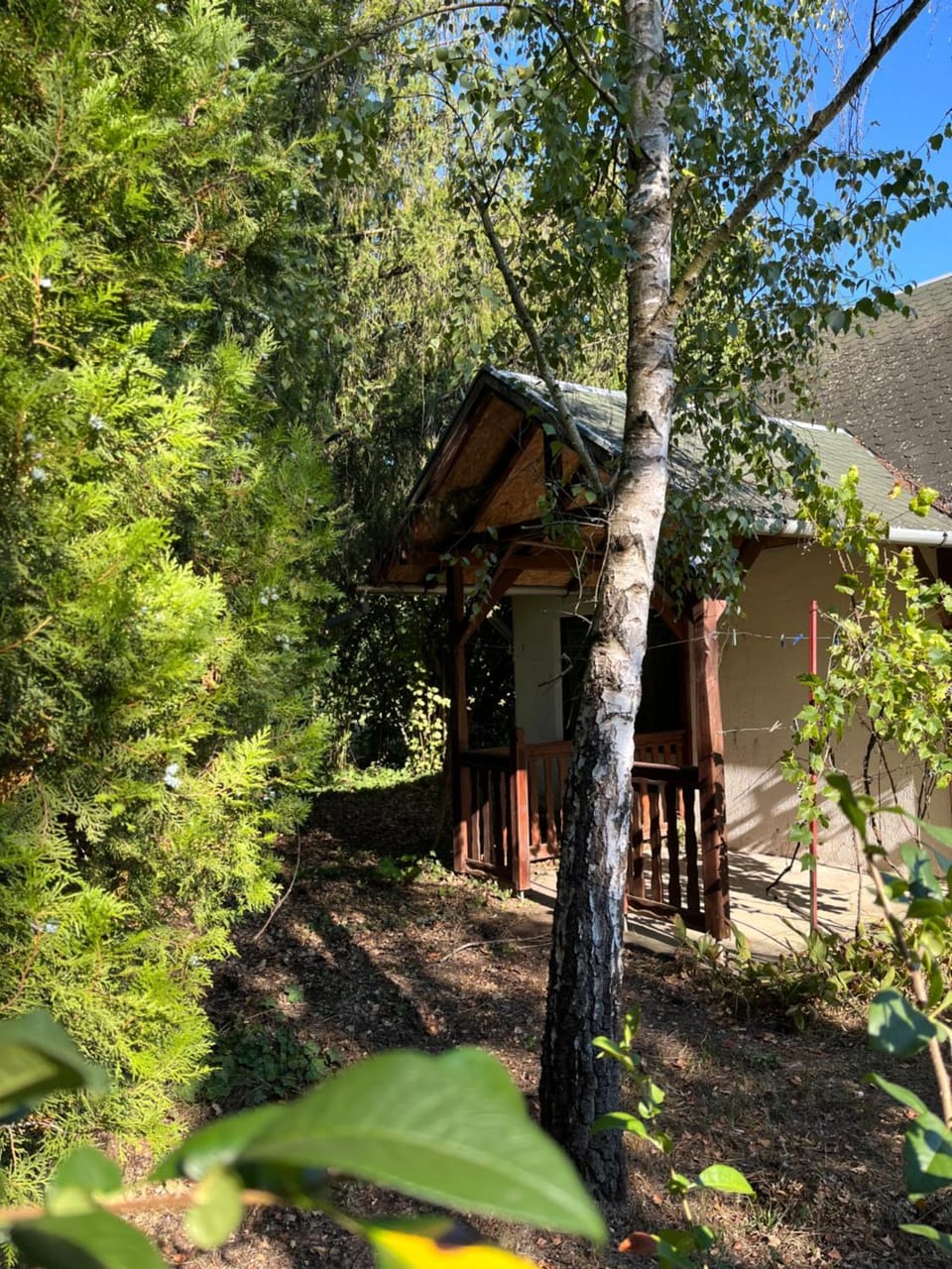 View (from property/room)