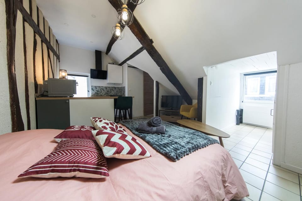 Bed, TV and multimedia, Kitchen or kitchenette, Photo of the whole room, Bedroom, oven, towels