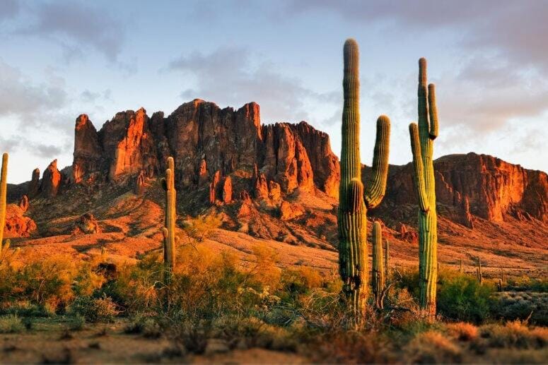Area and facilities