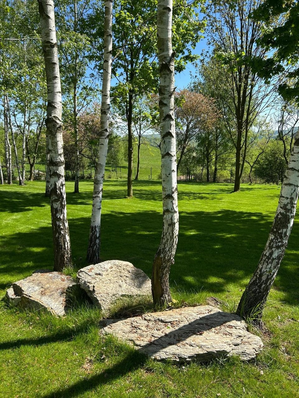 Natural landscape, Garden, Garden view