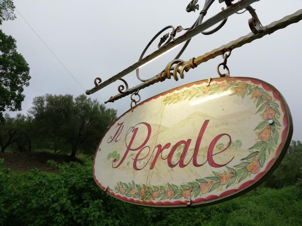 Logo/Certificate/Sign
