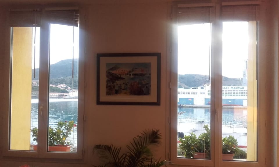 Appartement La Méditerranée vue sur Mer plein soleil 3 climatisations réversibles Apartment in Port-Vendres